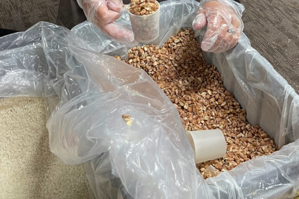 Untitled design (69) Untitled design (69)